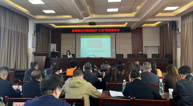 汉中市宗营镇杨家山村：集体资产既保值又增值！