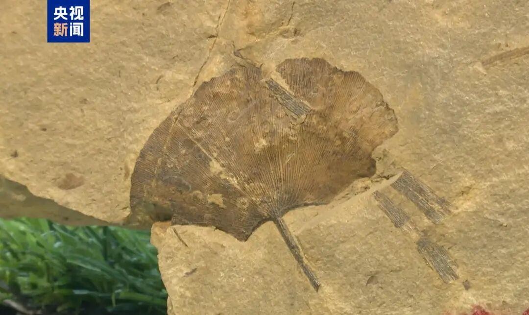 <b>山西一地考古新发现</b>