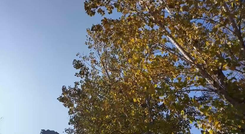 <b>延安市宝塔区“人机结合” 确保城市“颜值”在线</b>