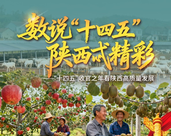 数说“十四五”| 乡村振兴成效显，陕西绘就和美乡村画卷