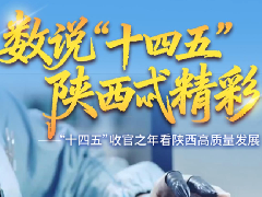 科技创新赋能高质量发展，新质生产力动力强劲