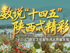 绘就和美乡村新图景,激活乡村振兴新动能