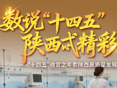 陕西扎实做好民生保障工作