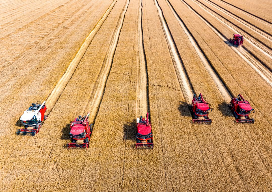 “丰收答卷”来之不易！山西粮食产量稳定在290亿斤以上