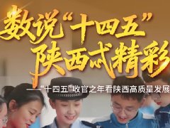 建设平安陕西，保障高质量发展，增进百姓福祉