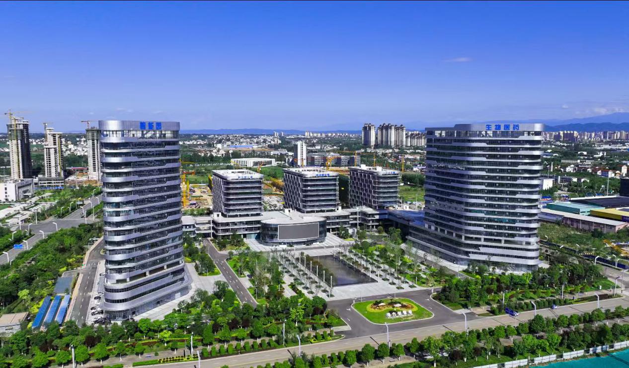 <b>聚焦“十四五” | 汉中市开放型经济与国企发展成效显著</b>