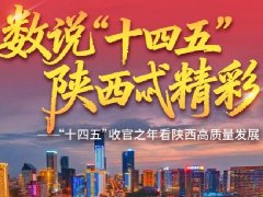 西安加快特大城市转型发展，科创引领推动新质生产力发展