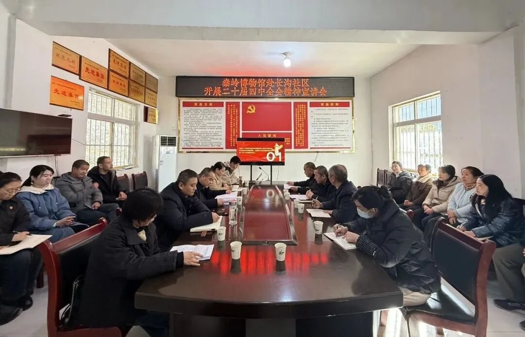 秦岭博物馆：党建引领聚合力 文博赋能暖民心