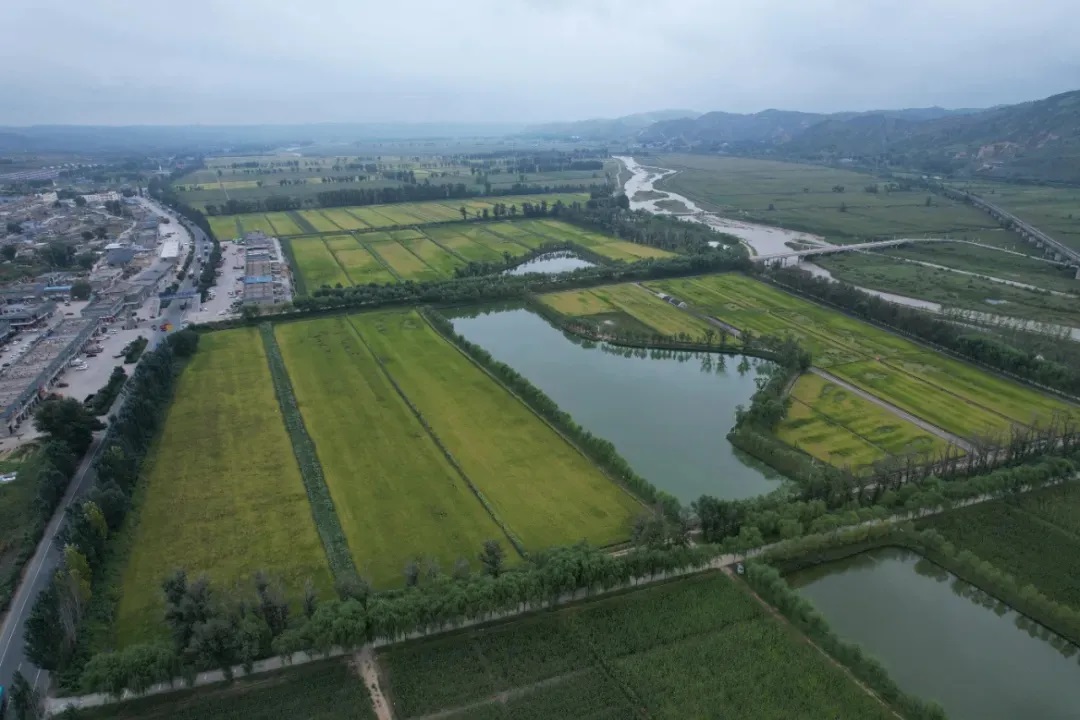 聚焦“十四五” | 榆林市