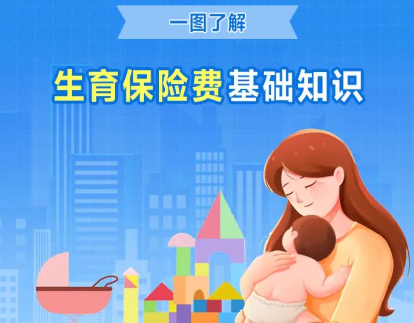 一图了解生育保险费基础知识→