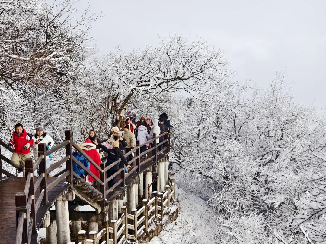 2026年元旦，汉中市活动精彩纷呈！