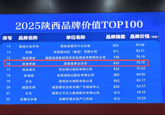 2025陕西品牌价值TOP100榜单发布 吴堡青梨上榜