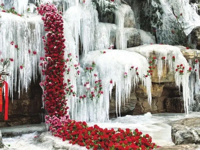 <b>冬日限定浪漫！山西蒙山冰瀑玫瑰，错过等一年！</b>
