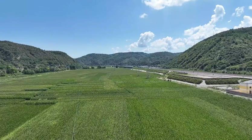 延安市宝塔区以“千万工程”经验引领乡村振兴新征程