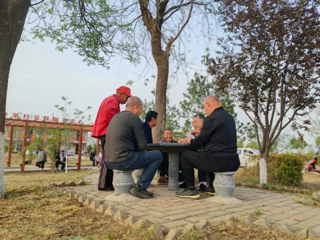 渭南市临渭区蔺店镇：以点带面全域推进 绘就美丽宜居新画卷