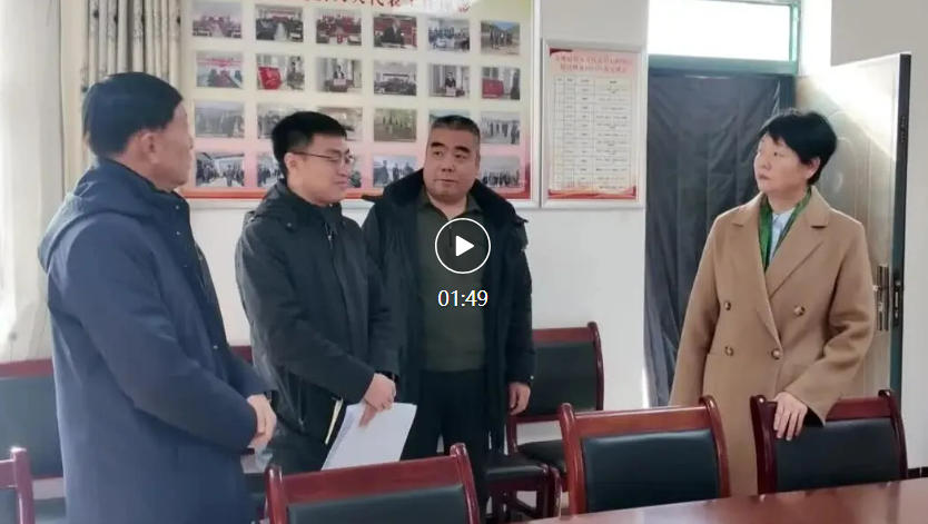 延安市宝塔区人大常委会调研部分乡镇人大工作