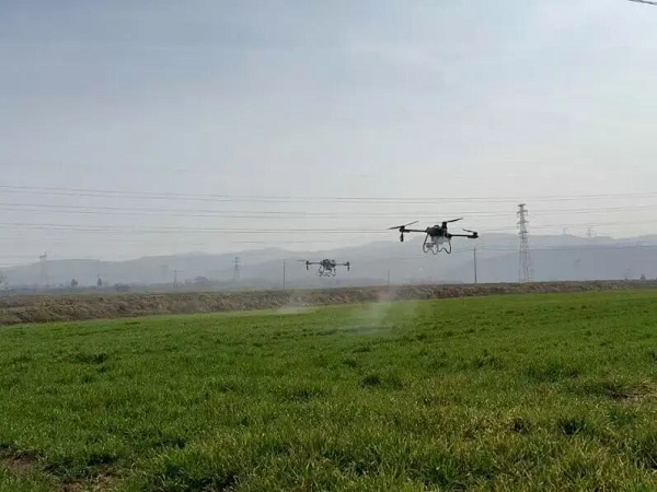 铜川：农技服务直通田间 麦田化除护航丰收