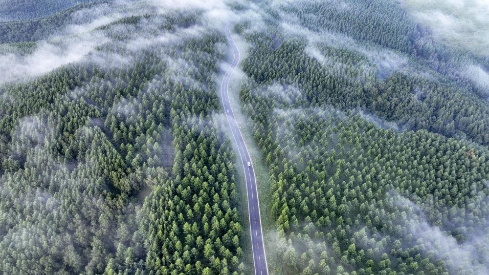 两会新华鲜报｜“典”亮人与自然和谐之路！中国第二部法典将