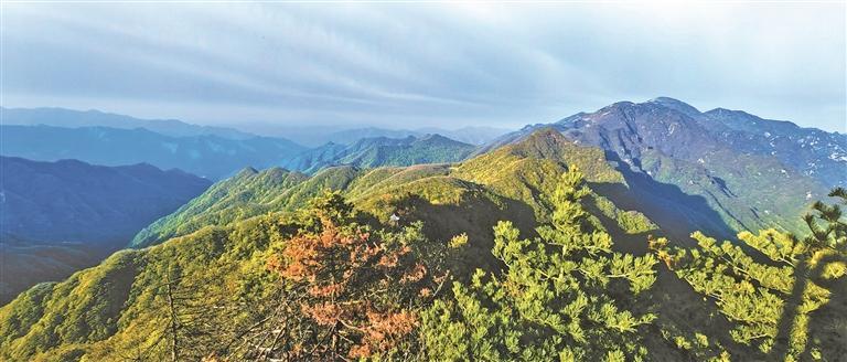 <b>增强绿色发展新动能 描绘美丽陕西新画卷</b>