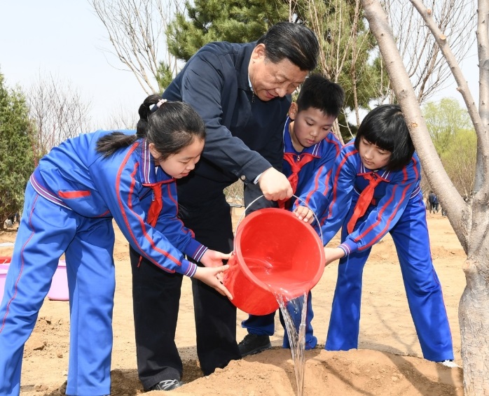 学而时习之丨众人植树树成林