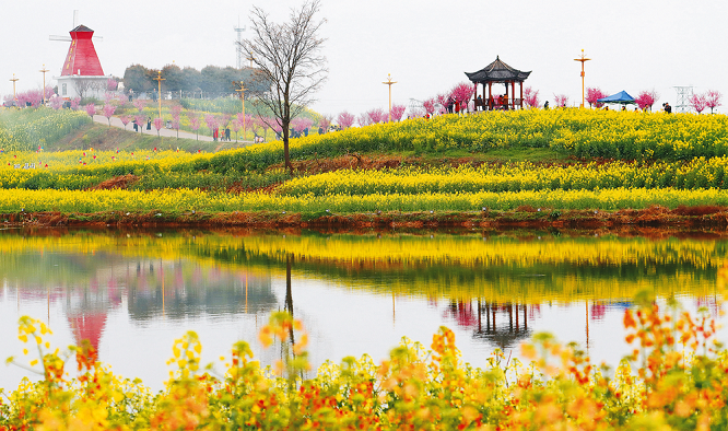 <b>倒计时1天！2026最美油菜花海汉中旅游文化节即将启幕  </b>