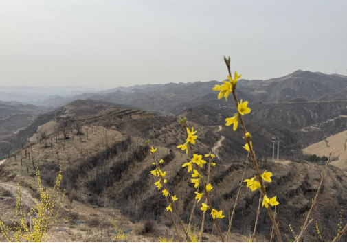 榆林市清涧县：从土地里重新找到奔头