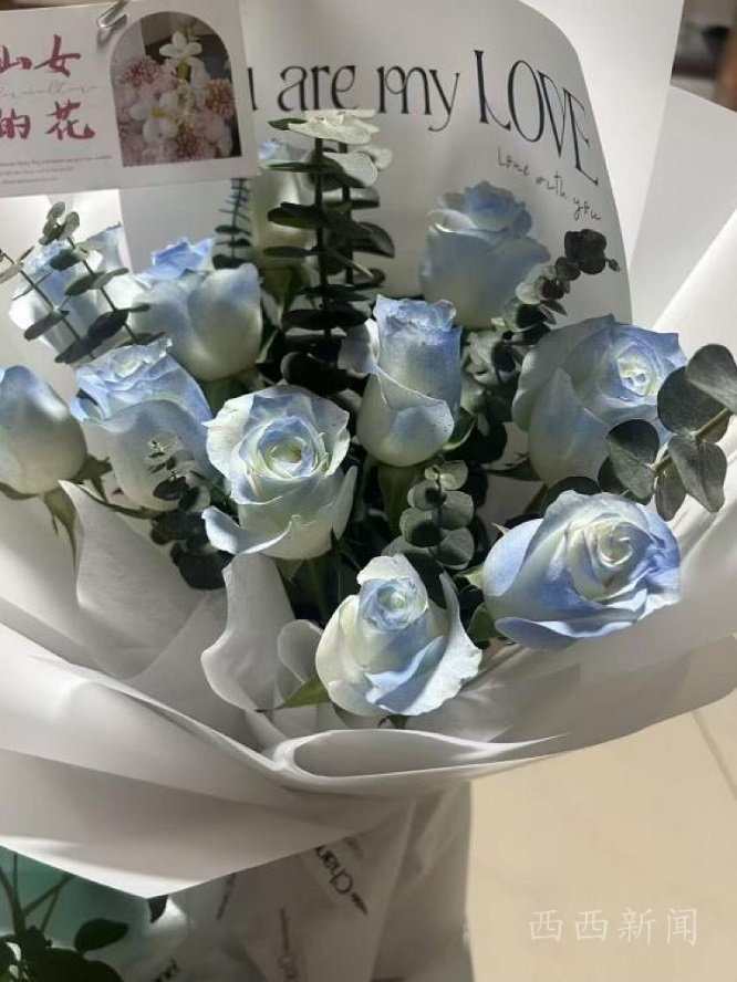 种花手游《我的花园世界》虚假宣传？消费者投诉“真花”承诺