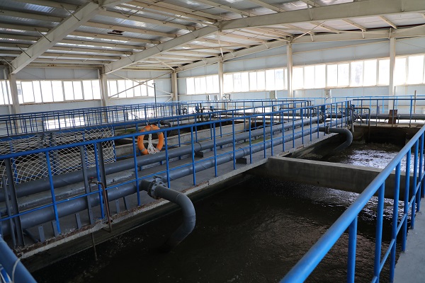 铜川市宜君县：筑牢生态屏障 守护绿水青山