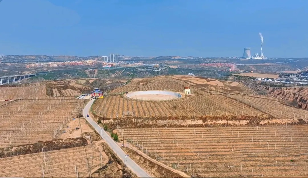 <b>榆林市榆阳区青云镇：地企共建赋能低效果园变身增收“聚宝盆”</b>
