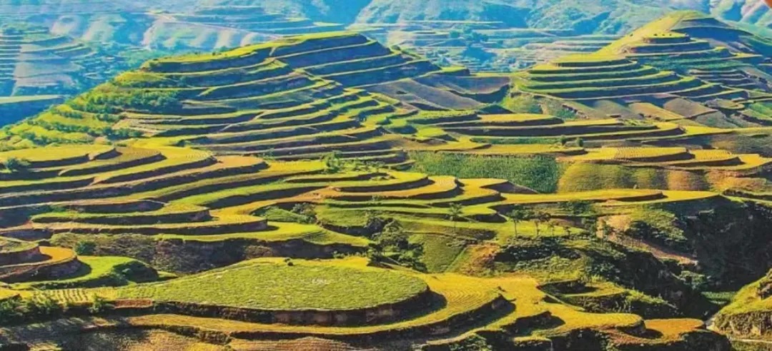 榆林市子洲县：实干笃行谋新篇 奋楫争先创新绩