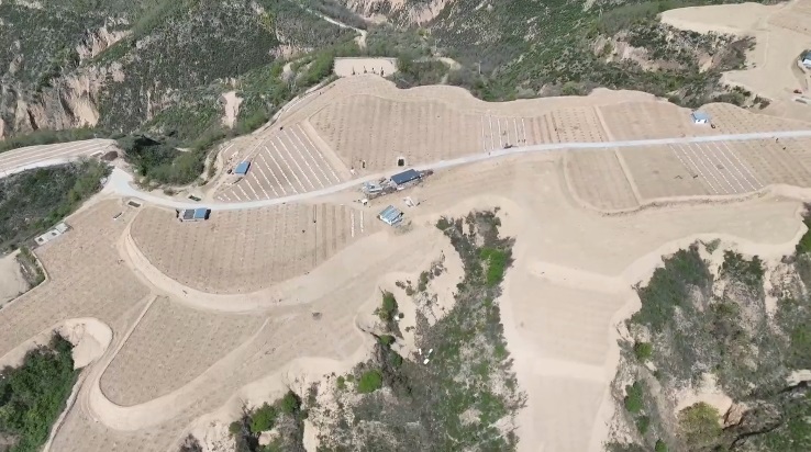 <b>延安市宝塔区甘谷驿镇：老果园焕新貌 果薯套种“双增收”</b>