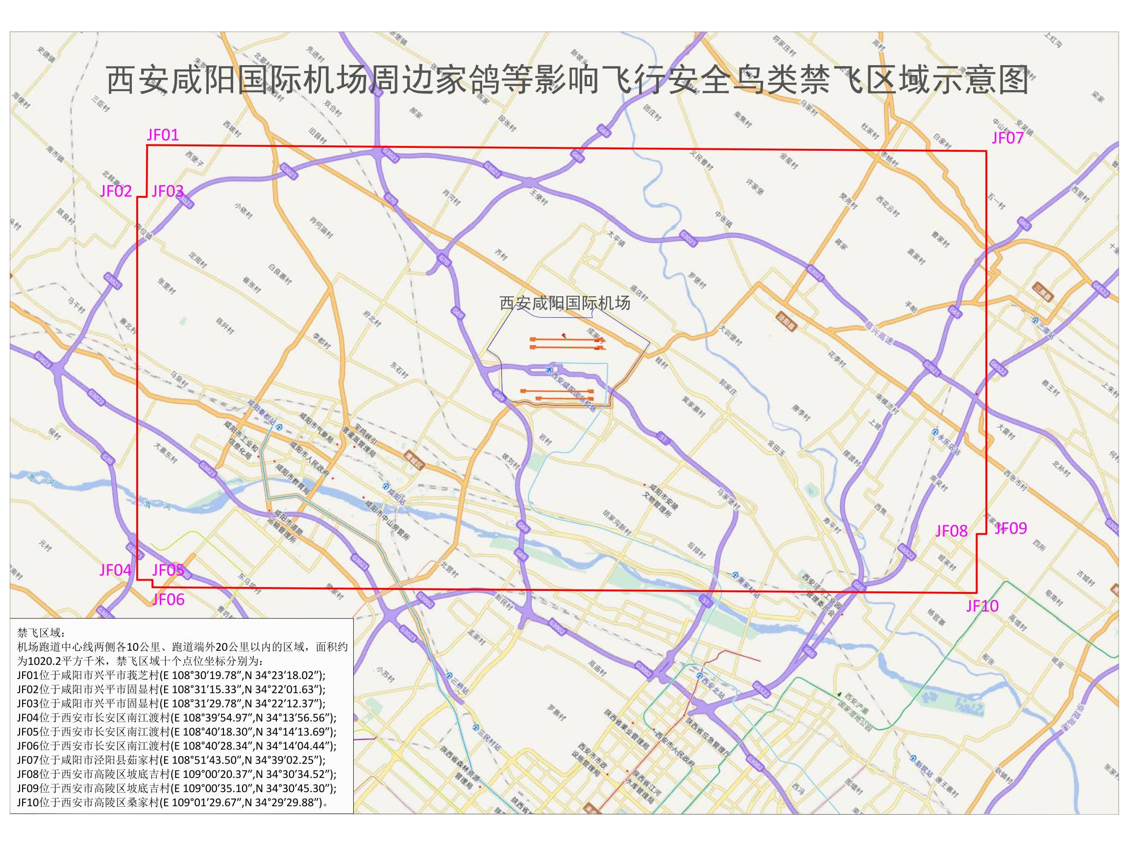 西安咸阳国际机场净空区禁养家鸽信鸽，违规最高罚款10万元