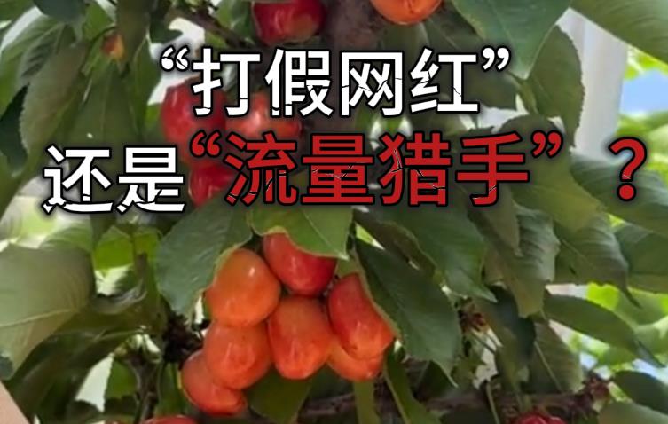 太乙视评 | “打假网红”，还是“流量猎手”？