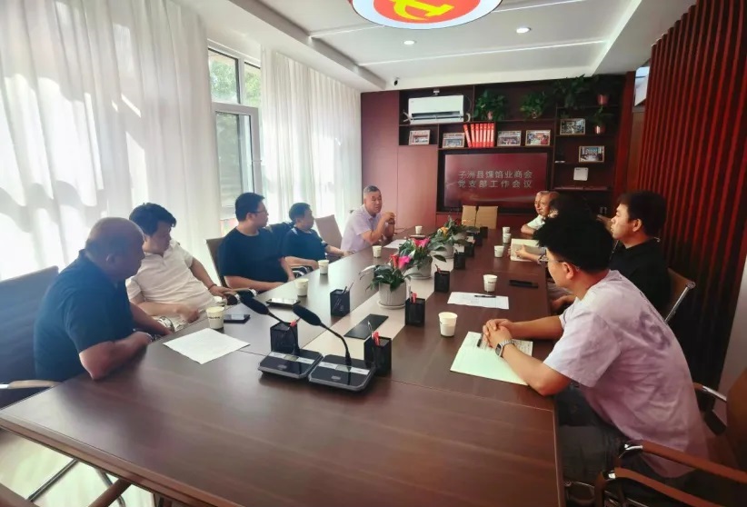 红色引擎驱动全域振兴——榆林市子洲县“党建+产业链+服务链