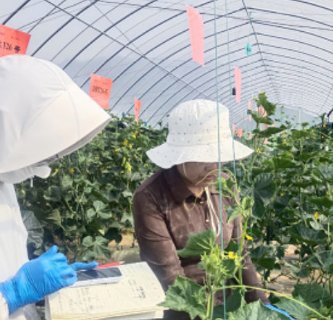 宝鸡市太白县冷凉蔬菜科技小院精准施策解难题科技赋能助力乡