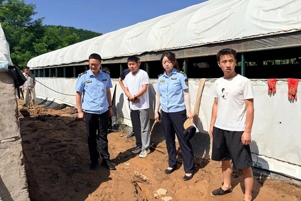 铜川市印台环保：迎汛应“烤”多举措筑牢畜禽养殖生态堤