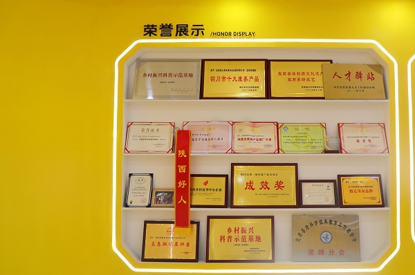 铜川市宜君县：蜜启新程产业赋能 蜜创新升级拓宽甜蜜赛道