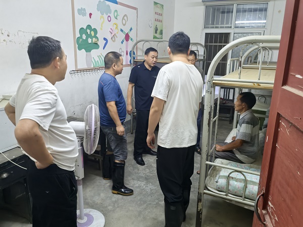 安康市汉滨区沈坝镇：深深雨夜党徽闪耀