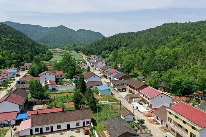 疏导群众、布设警戒线遭遇洪水，汉中年轻村支书李杨防汛一线