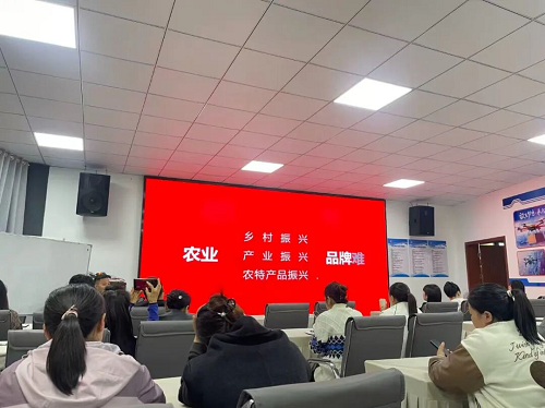 汉中市宁强县大安镇“驿尚花村播”电商联盟赋能乡村发展