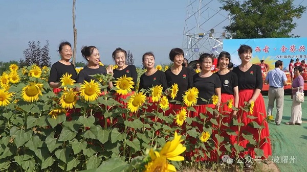 铜川市耀州区：油葵产业绘就乡村振兴新画卷 村民增收“金钥匙