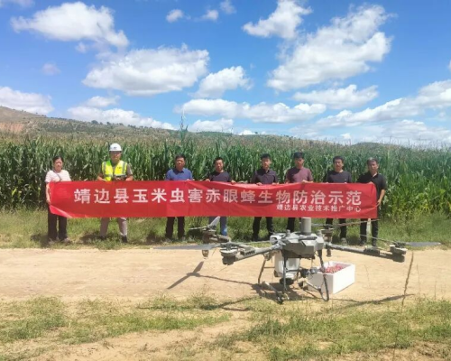 榆林市靖边县开展无人机释放赤眼蜂防治玉米螟示范作业