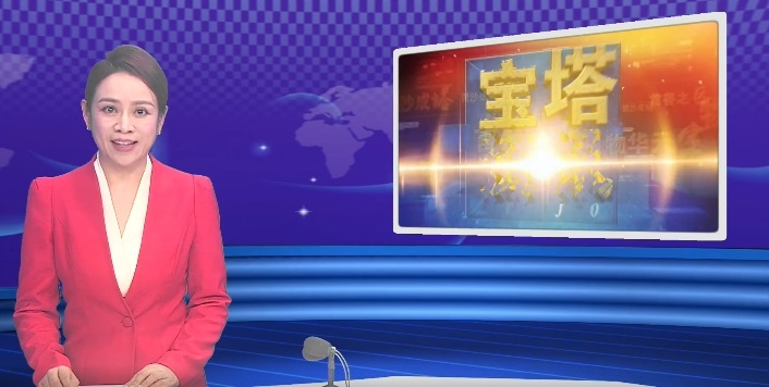 延安市宝塔区委召开理论学习中心组学习会议