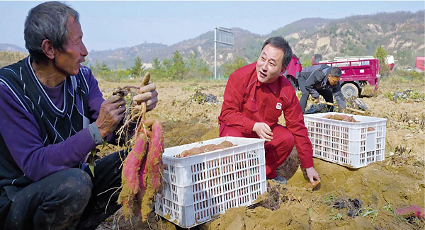 高原“薯”光——延长石油管道公司十一载助力乡村振兴路