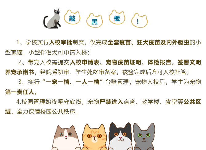 西安一高校宣布可带宠物上学 校方：仅限小型家猫、小型伴侣犬