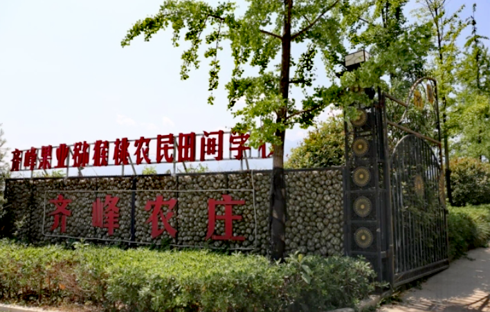 宝鸡市眉县齐峰果业荣膺国产猕猴桃全国销量第一