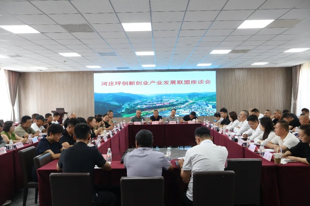 延安市宝塔区河庄坪镇创新创业产业发展联盟座谈会召开