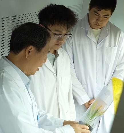 “三秦楷模”康振生：把