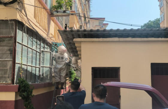 为民除蜂患 锦旗赠消防