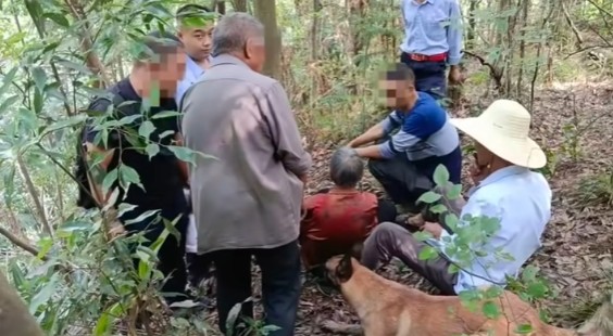 “汪汪队”立功！安康平利警犬进山找回走失老人